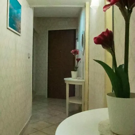 奥林波戴格丽酒店