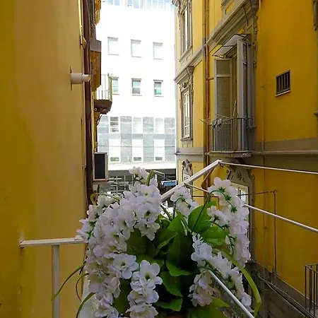 Olimpo Degli Dei Bed & Breakfast Napoli