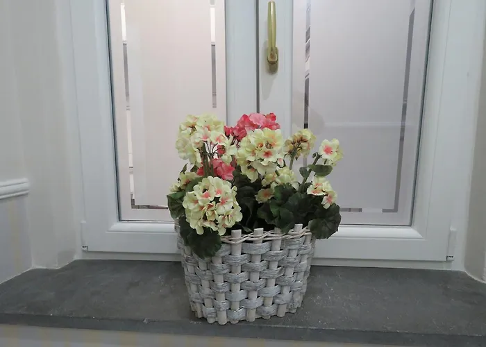 Olimpo Degli Dei Νάπολη